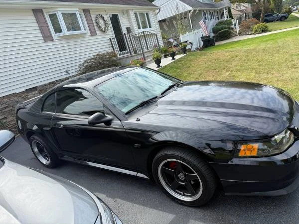 2002 Ford SN95 Mustang - Image 6 of 11