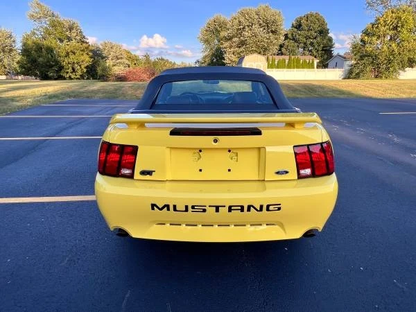 2002 Ford SN95 Mustang - Image 8 of 21