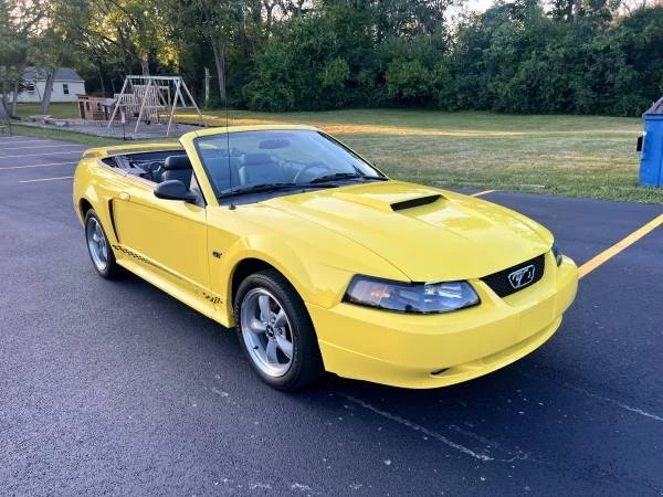 2002 Ford SN95 Mustang - Image 2 of 21