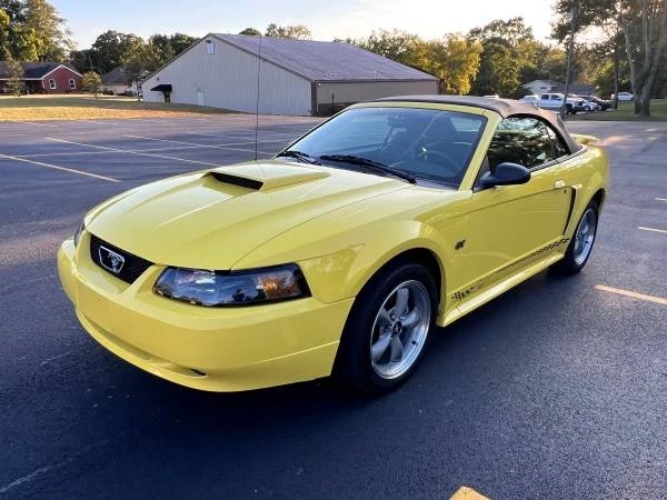 2002 Ford SN95 Mustang - Image 3 of 21