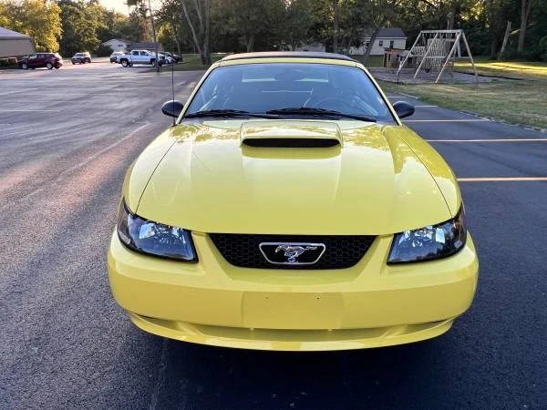 2002 Ford SN95 Mustang - Image 7 of 21