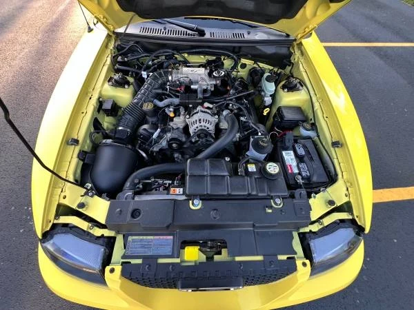2002 Ford SN95 Mustang - Image 13 of 21