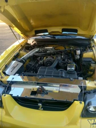 2002 Ford SN95 Mustang - Image 4 of 11