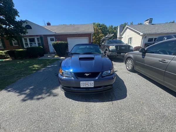 2002 Ford SN95 Mustang - Image 3 of 9