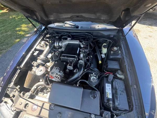 2002 Ford SN95 Mustang - Image 8 of 9