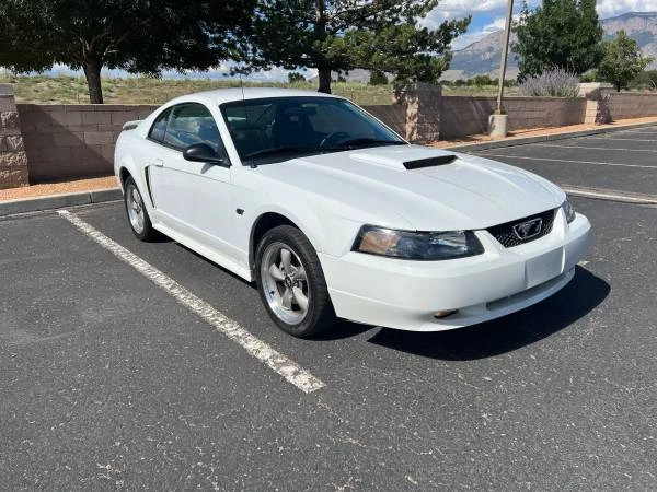 2002 Ford SN95 Mustang - Image 2 of 9