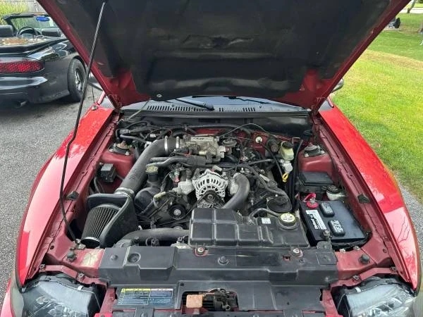 2002 Ford SN95 Mustang - Image 8 of 8