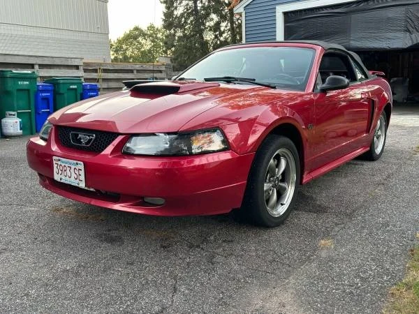 2002 Ford SN95 Mustang - Image 2 of 8