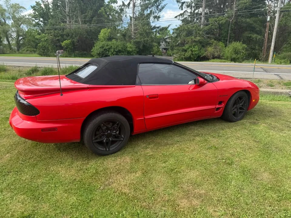 2002 Pontiac Firebird - Image 4 of 8
