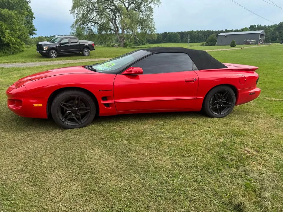 2002 Pontiac Firebird - Image 6 of 8