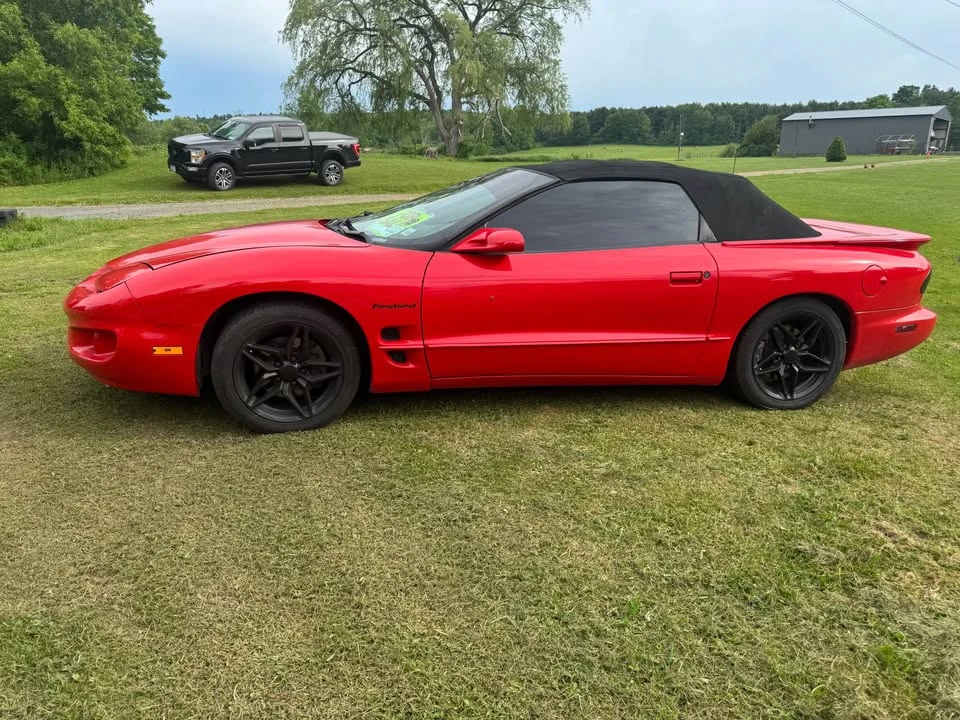 2002 Pontiac Firebird - Image 7 of 8