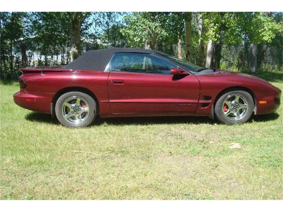 2002 Pontiac Firebird 4th Gen - Image 9 of 10