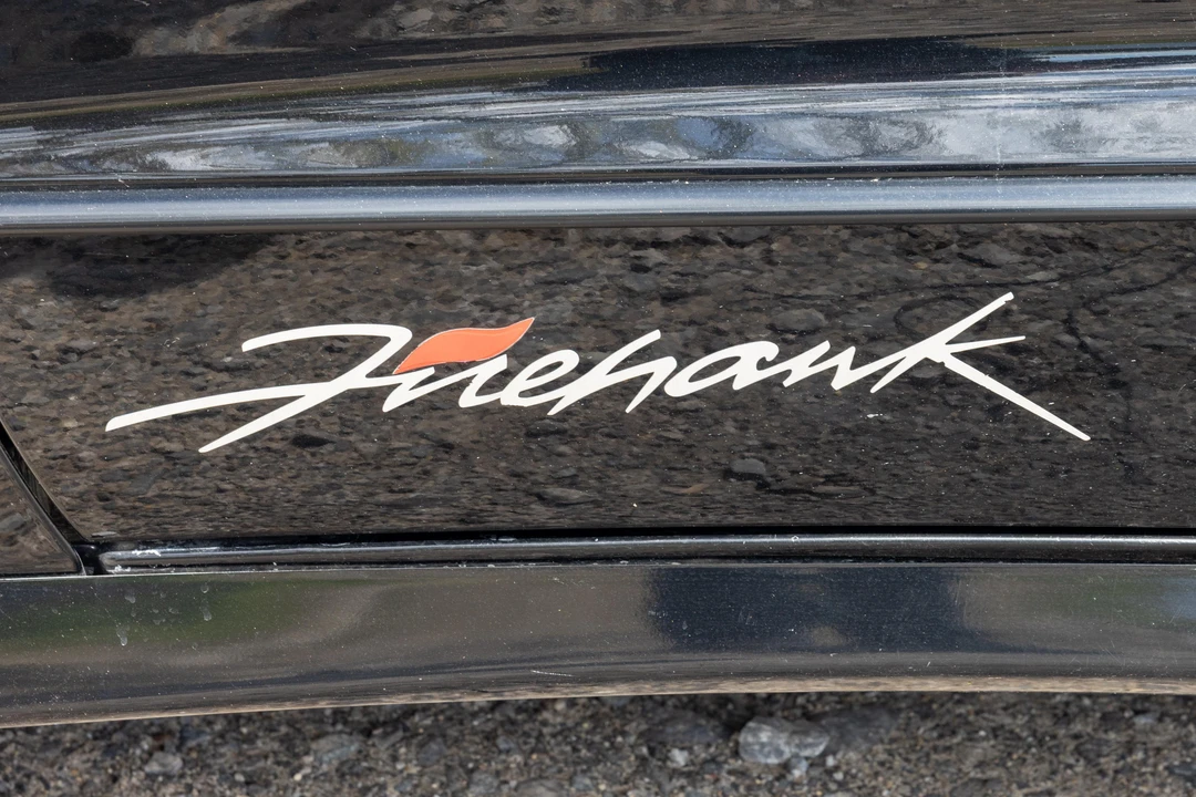 2002 Pontiac Firebird Trans Am 4th Gen - Image 18 of 31