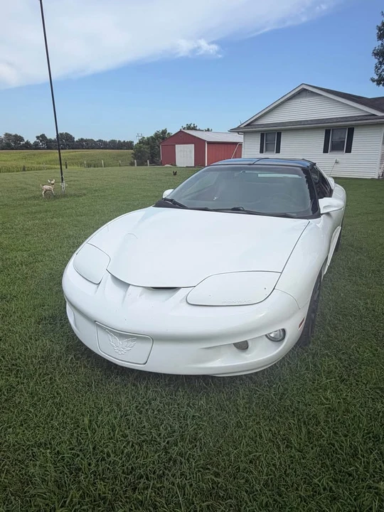 2002 Pontiac Firebird Formula 4th Gen - Image 3 of 15