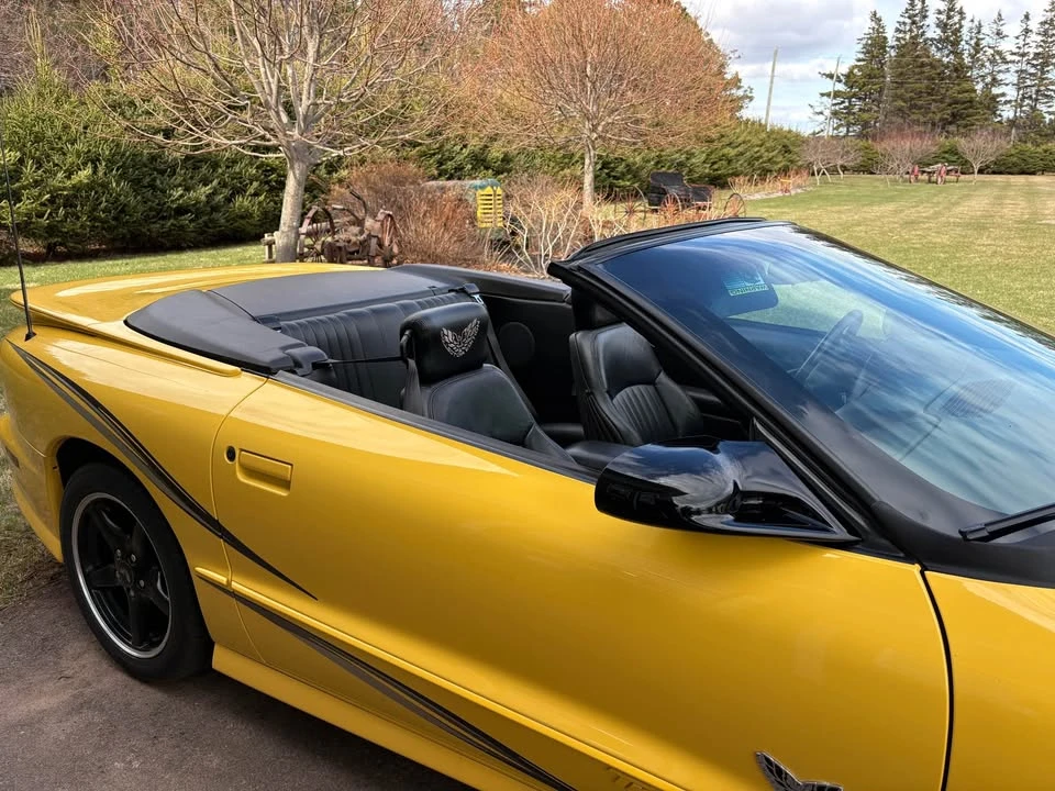 2002 Pontiac Firebird Trans Am 4th Gen - Image 4 of 6