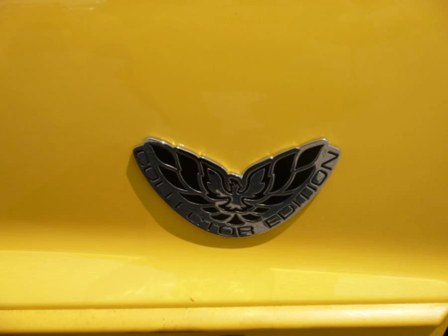 2002 Pontiac Firebird Trans Am 4th Gen - Image 8 of 11