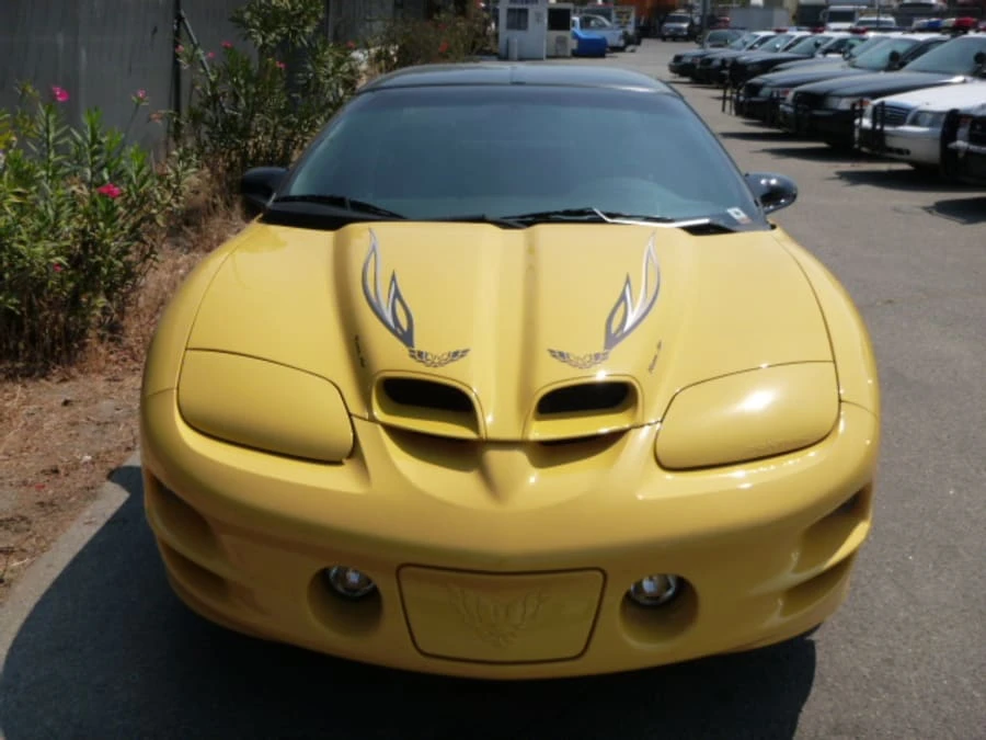 2002 Pontiac Firebird Trans Am 4th Gen - Image 10 of 11
