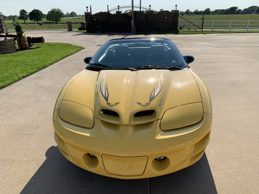 2002 Pontiac Firebird Trans Am 4th Gen - Image 10 of 12