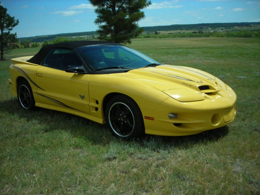 2002 Pontiac Firebird Trans Am 4th Gen - Image 6 of 6