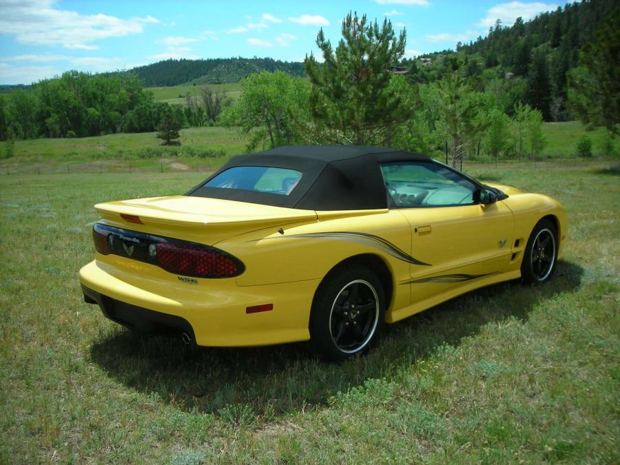 2002 Pontiac Firebird Trans Am 4th Gen - Image 4 of 6