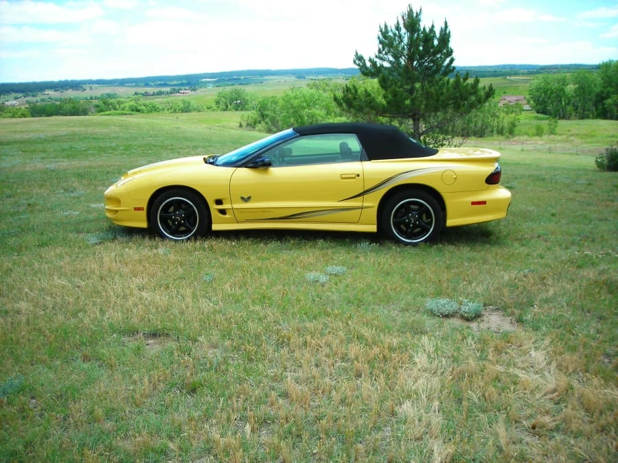 2002 Pontiac Firebird Trans Am 4th Gen - Image 5 of 6