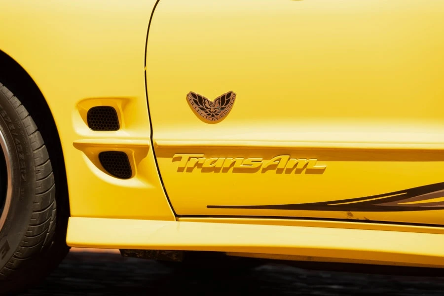 2002 Pontiac Firebird Trans Am 4th Gen - Image 20 of 31