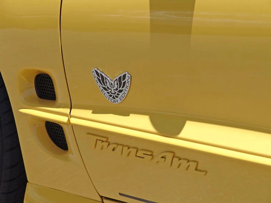 2002 Pontiac Firebird Trans Am 4th Gen - Image 9 of 11