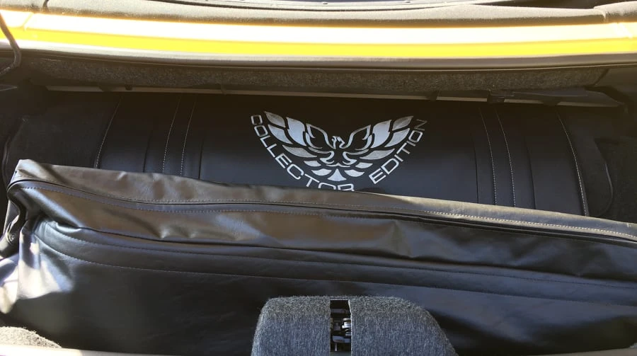 2002 Pontiac Firebird Trans Am 4th Gen - Image 5 of 9