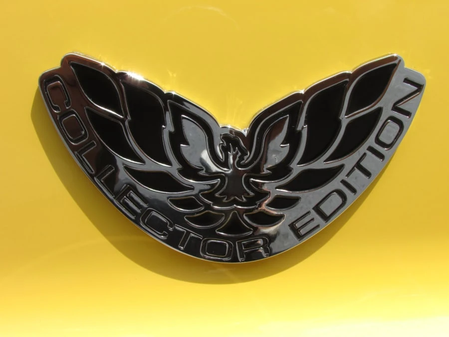 2002 Pontiac Firebird Trans Am 4th Gen - Image 7 of 7