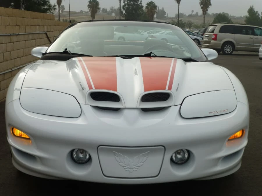 2002 Pontiac Firebird Trans Am 4th Gen - Image 8 of 8