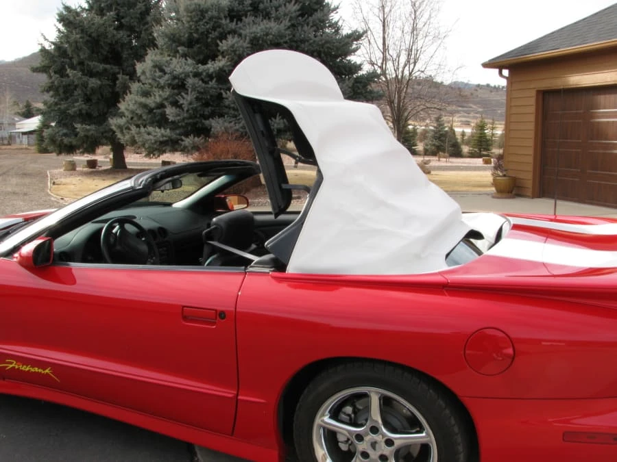 2002 Pontiac Firebird Trans Am 4th Gen - Image 5 of 12
