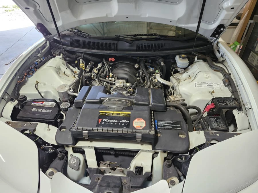 2002 Pontiac Firebird Trans Am 4th Gen - Image 13 of 13