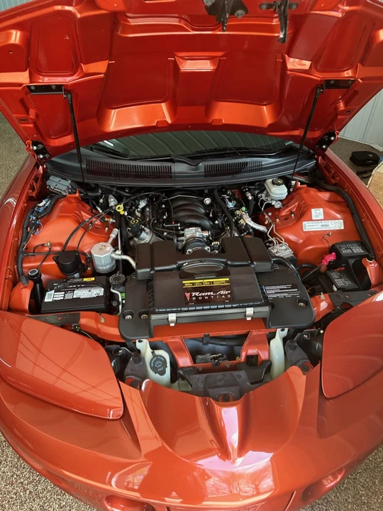 2002 Pontiac Firebird Trans Am 4th Gen - Image 7 of 8