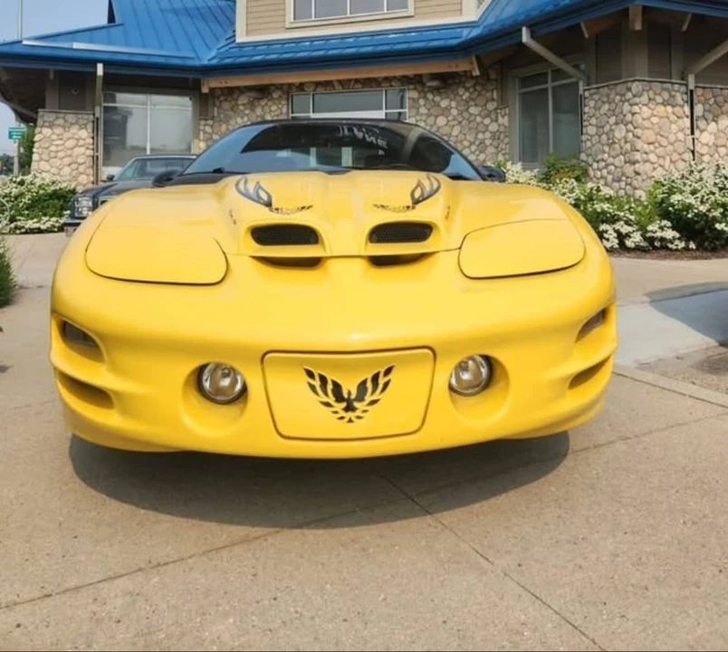 2002 Pontiac Firebird Trans Am 4th Gen - Image 10 of 10