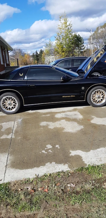 2002 Pontiac Firebird Trans Am 4th Gen - Image 8 of 9