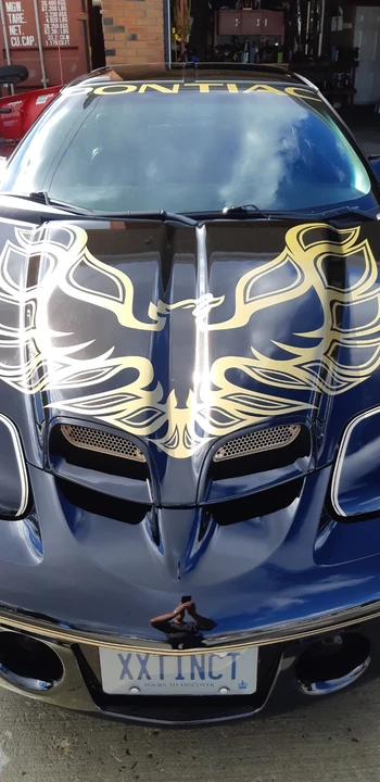2002 Pontiac Firebird Trans Am 4th Gen - Image 9 of 9