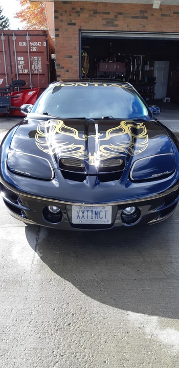 2002 Pontiac Firebird Trans Am 4th Gen - Image 4 of 9