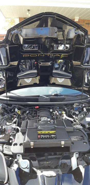 2002 Pontiac Firebird Trans Am 4th Gen - Image 7 of 9