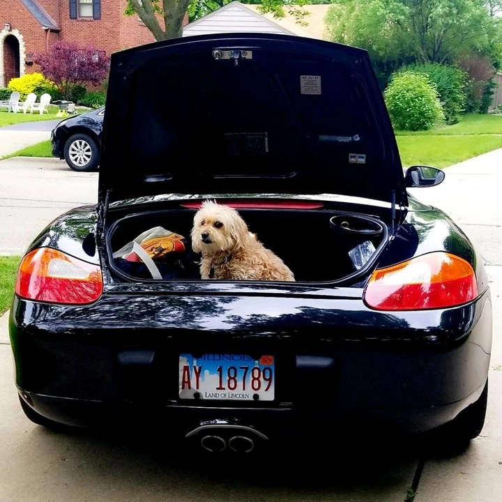 2002 Porsche 986 Boxster S - Image 4 of 13