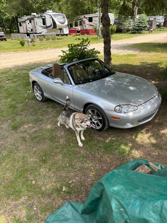 2002 Mazda NB MX-5 Miata - Image 4 of 10