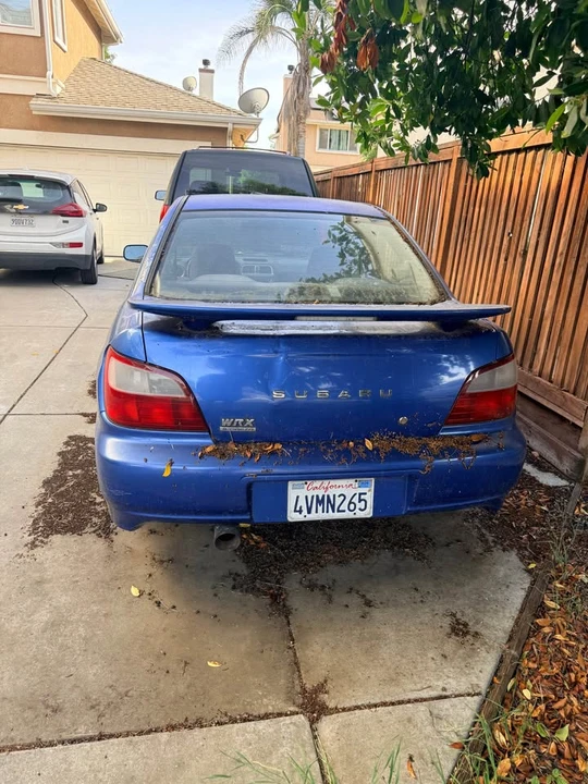 2002 Subaru Impreza WRX 2nd Gen - Image 3 of 8