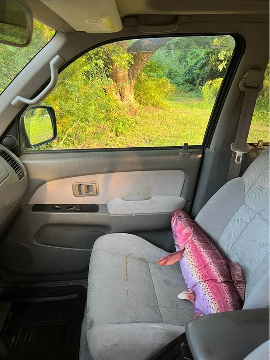 2002 Toyota 4Runner 3rd Gen - Image 18 of 18
