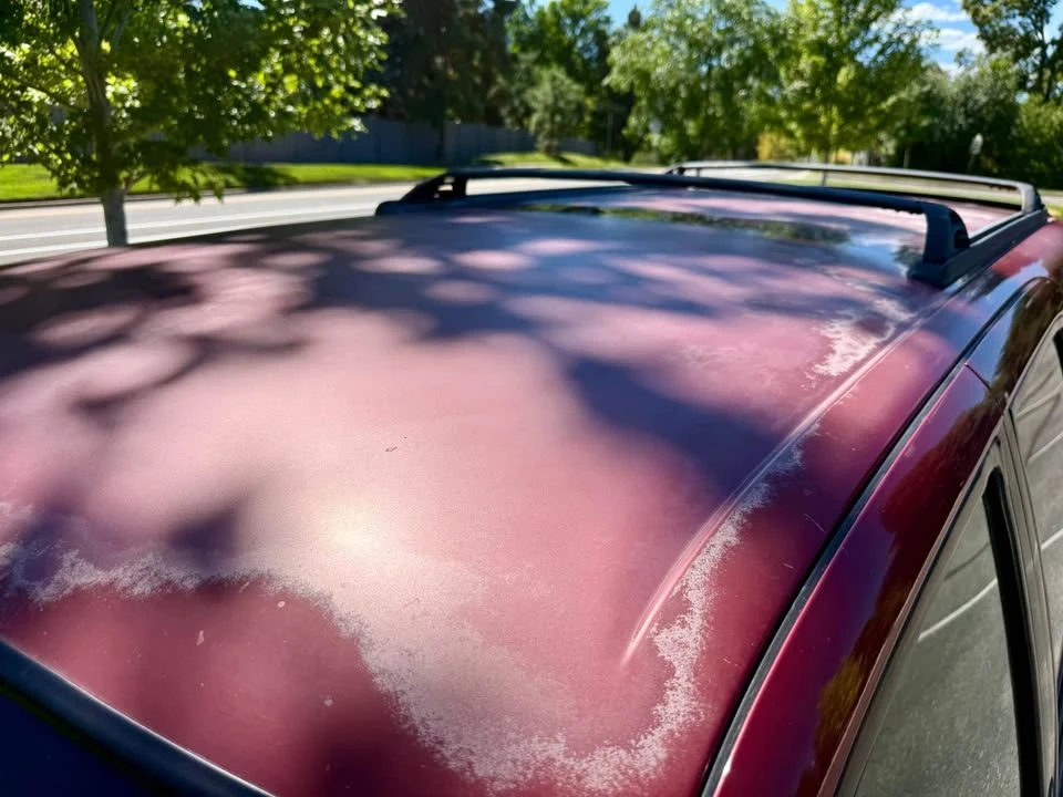 2002 Toyota 4Runner 3rd Gen - Image 18 of 18