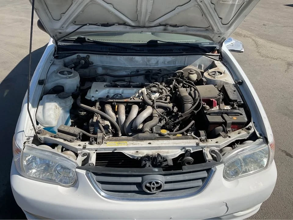 2002 Toyota Corolla 8th Gen - Image 9 of 9