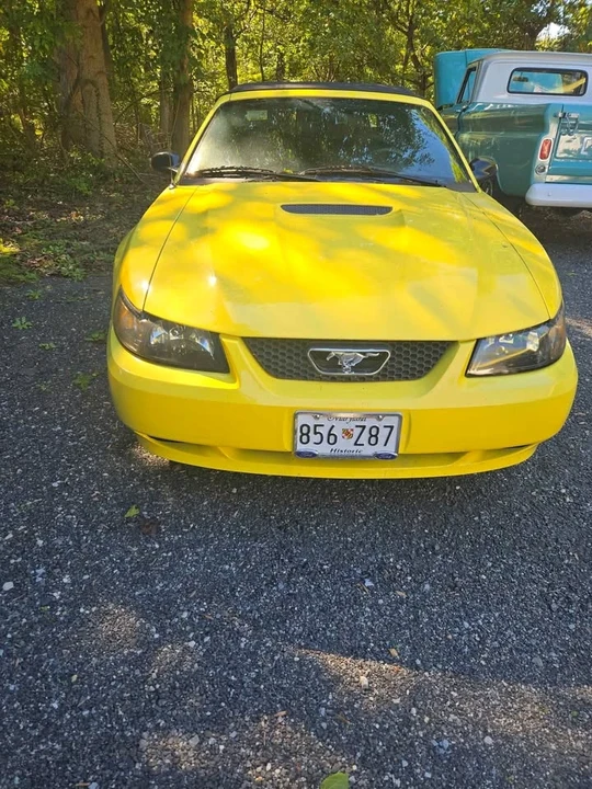2002 Ford SN95 Mustang - Image 5 of 9