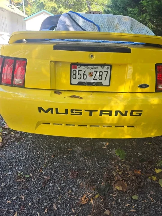 2002 Ford SN95 Mustang - Image 3 of 9