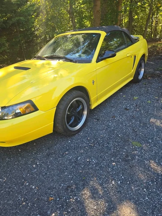 2002 Ford SN95 Mustang - Image 8 of 9