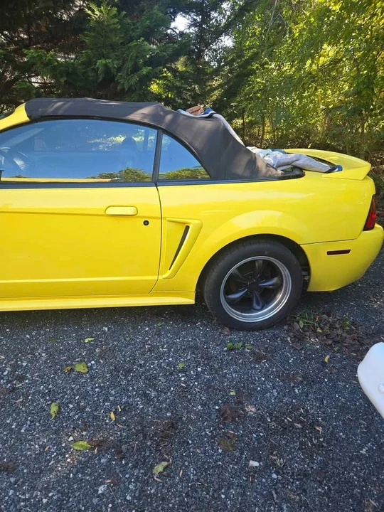 2002 Ford SN95 Mustang - Image 9 of 9