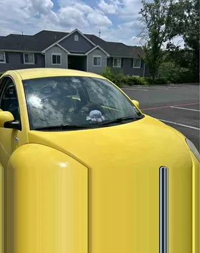 2002 Volkswagen Beetle 2.0T SE Hatchback 2D