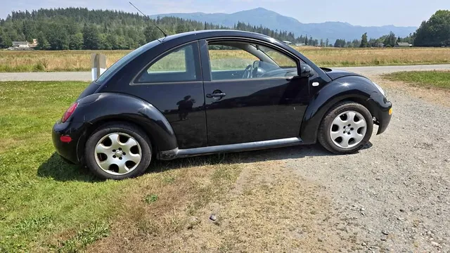 2002 Volkswagen Beetle Hatchback 2D